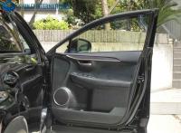 Lexus NX 2014