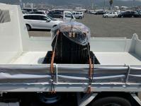 Isuzu ELF 2025