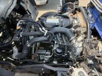 Isuzu Forward 2023