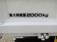 Isuzu ELF 2024