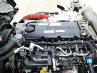 Isuzu ELF 2024
