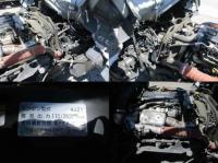Isuzu ELF 2023