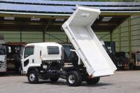 Isuzu Forward 2011