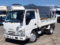 Isuzu ELF 2019