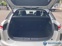 Citroen DS3 2020