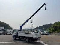 Isuzu ELF 2024