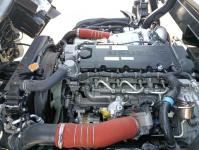 Isuzu ELF 2025