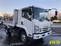 Isuzu Forward 2020