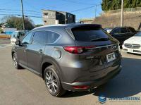 Mazda CX-8 2018