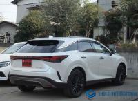 Lexus RX 2024