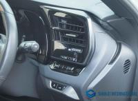 Lexus RX 2024