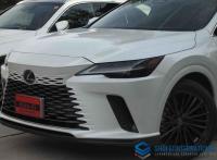 Lexus RX 2024