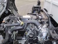 Isuzu Forward 2024