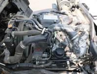 Isuzu Forward 2022