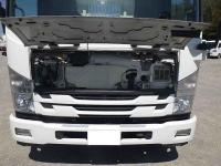 Isuzu Forward 2018