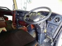 Hino PROFIA 2020