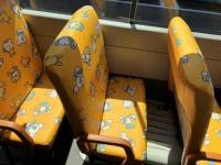 Toyota Coaster 2020