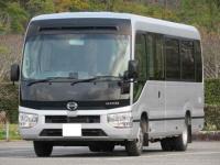 Hino LIESSE II 2019