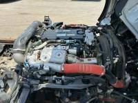 Isuzu ELF 2024