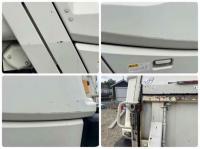 Isuzu Forward 2010
