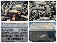 Isuzu Forward 2010