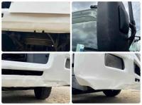 Isuzu Forward 2009