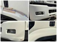 Isuzu Forward 2010