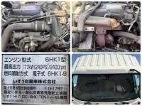Isuzu Forward 2010