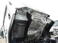 Isuzu Forward 2019