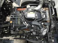 Isuzu Forward 2019