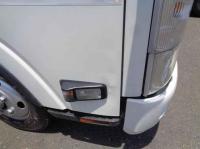 Isuzu ELF 2021
