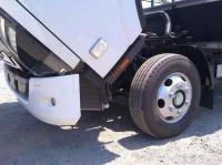 Isuzu ELF 2025