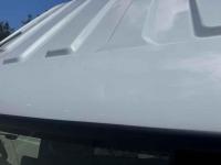 Isuzu ELF 2025