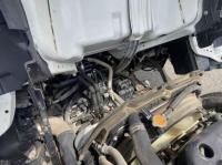 Isuzu ELF 2019