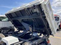 Isuzu ELF 2024