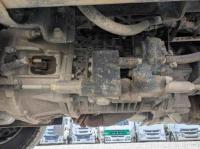 Isuzu ELF 2019