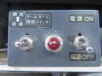 Isuzu Forward 2009