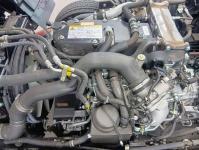 Isuzu Forward 2025