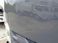 Isuzu Forward 2022