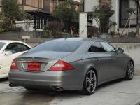 Mercedes-Benz CLS-class 2010